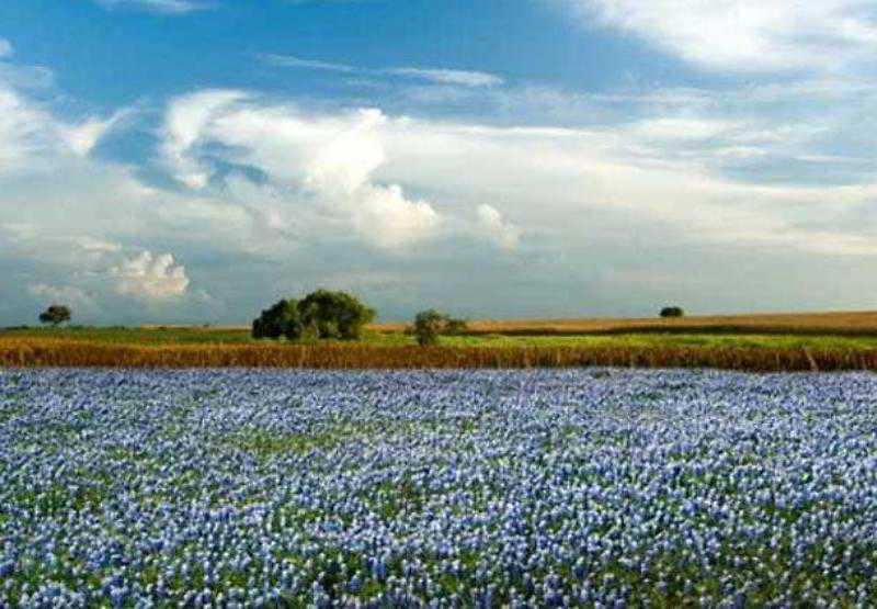 Courtyard Marriott Houston Pearland Hotell Eksteriør bilde